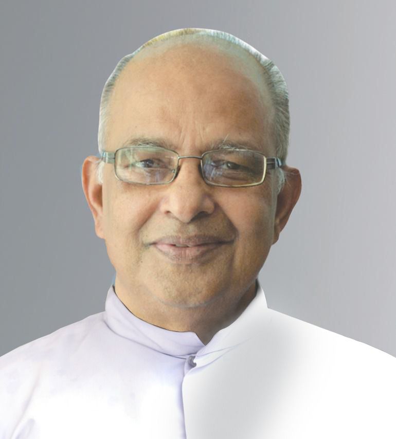 Rev. Fr Emmanuel Gnavallil CMI 